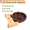 Dog Bowl for Cats and Small Dogs - All-Natural, Polished