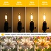 PADMO LUDAZ Dimmable T6 LED Light Bulb,E12 Candelabra Bulb 40