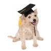 Rubies Costume Co Black Graduation Hat Pet Accessory, Medium/Large