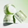 Dinsi 딘시 프리미엄 비건 눈연꽃 히알루론산 수분크림 50ml Dinse Premium Vegan Lotus Flower Hyaluronic Acid Moisturizing Cream 50ml