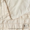 JELLYMONI Seersucker Comforter Set Queen Size with Sheets, Cream Grey