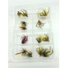 BestCity Fly Fishing FLIES IRISH WET Gorgeous George Trout Flies