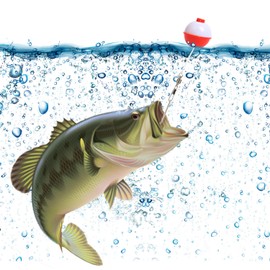 Fishing Bobbers Set Snap Hard ABS on Red/White Fishing Floats Bobbers Push Button Round Buoy Floats Fishing Tackle Accessories Size: 0.5/0.75/1/1.25/1.5/2 Inch (Small Size Total 0.5 inch Length)