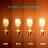 Warm Edison Light Bulbs, 60 Watt A19 Vintage Incandescent Light