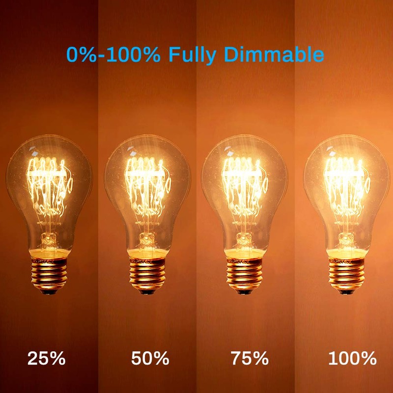 Warm Edison Light Bulbs, 60 Watt A19 Vintage Incandescent Light