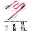 Solmoony 6FT Pink Strong Dog Leash with 2 Padded Handles,