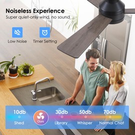 Asyko Ceiling Fans with Lights,46" Low Profile Ceiling Fan with Light and Remote Control,Flush Mount, Reversible, Dimmable, Noiseless, Black Ceiling Fan for Bedroom