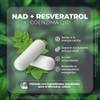 VITO - NAD+ con Resveratrol y Coenzima Q10-60 Cápsulas Veganas