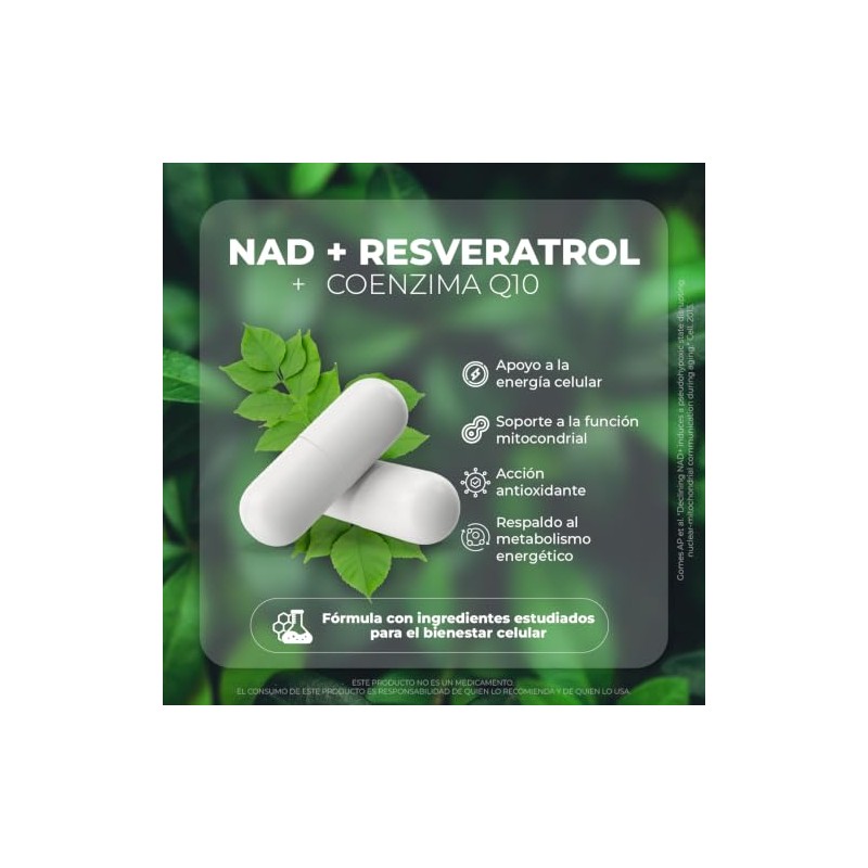 VITO - NAD+ con Resveratrol y Coenzima Q10-60 Cápsulas Veganas