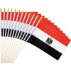 Ckexin 25Pack Small Egypt Flag Handheld Mini Egyptian Flags on