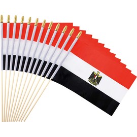 Ckexin 25Pack Small Egypt Flag Handheld Mini Egyptian Flags on Stick 5x8 Inch