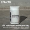 RAW ESSENTIAL CREATINA 510 GR 100 SERVICIOS SIN SABOR