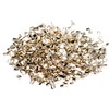 Silver Chip Solder (Medium) 3 Grams (~2000 pcs) 0.5 x