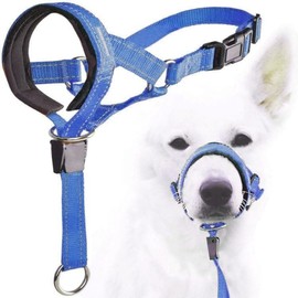 Zerodis Dog Head Halter with Safety Strap, Stops Heavy Pulling On The Leash Padded Headcollar for Dog Sizes Adjustable Head Collar (Blue)