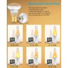 SerBion Lava Lamp Bulb, R39 E17 Reflector Type Bulb for