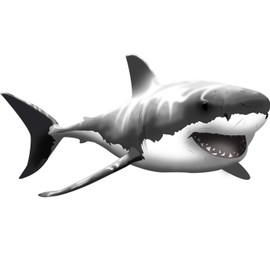 VWAQ Giant Great White Shark Wall Decal Peel and Stick Wall Art … (13" H X 24" W)