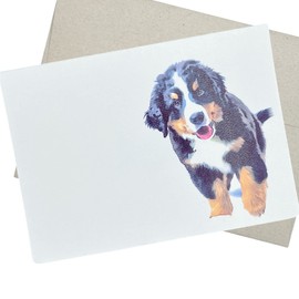 Bernese Mountain Dog Greeting Card with Envelope (5X7 Inches and Blank Inside) Birthday, Anniversary, Wedding, and Friendship Card or from a Dog Groomer or Veterinarian - 51