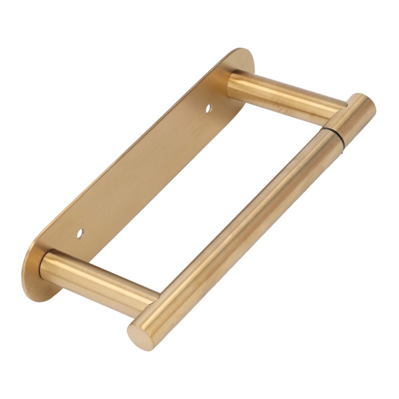 Toilet Paper Holder Multifunctional Rustproof 304 Stainless Steel Wall Mount