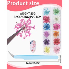MOPZIJA 1 Boxen getrocknete Blumen für Nägel, Farben Nail Art Aufkleber trockene Blumen Kit getrocknete Blumen Zubehör Set DIY Nageldekoration,blumen nail art aufkleber,flower nail,Mit 1 Pinzette