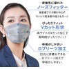 Iris Ohyama APN-60MXF Mask, Non-woven Fabric, Pleated Mask, Color Mask,