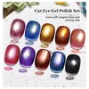 JODSONE 12 Colors Cat Eye Gel Nail Polish Set Blue