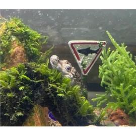 Ofigh Aquarium Decor: Eco-Friendly Alligator Figurine for Unique Fish Tank Decor and Accessories, ofigh-alligator-01