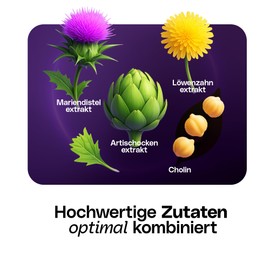 Milk Thistle Complex - 240 Capsules - with Milk Thistle, Artichoke & Dandelion & Choline - for the Normal Function of the Liver - 200 mg Silymarin per Day - Laboratory Tested and Produced in Germany