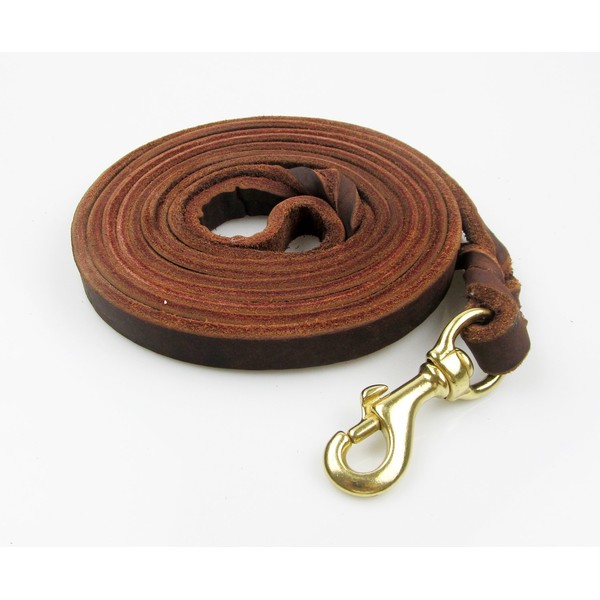 RC GearPro Leather Dog Leash for Small Medium Large Dogs