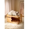 PetHse Magic Organ Cat Scratching Board, Interactive Scratch Pad Cat