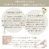 Tennendo Vetiver Incense, Sandalwood, Vetiver Sleep, Good Sleep, Incense Sticks,