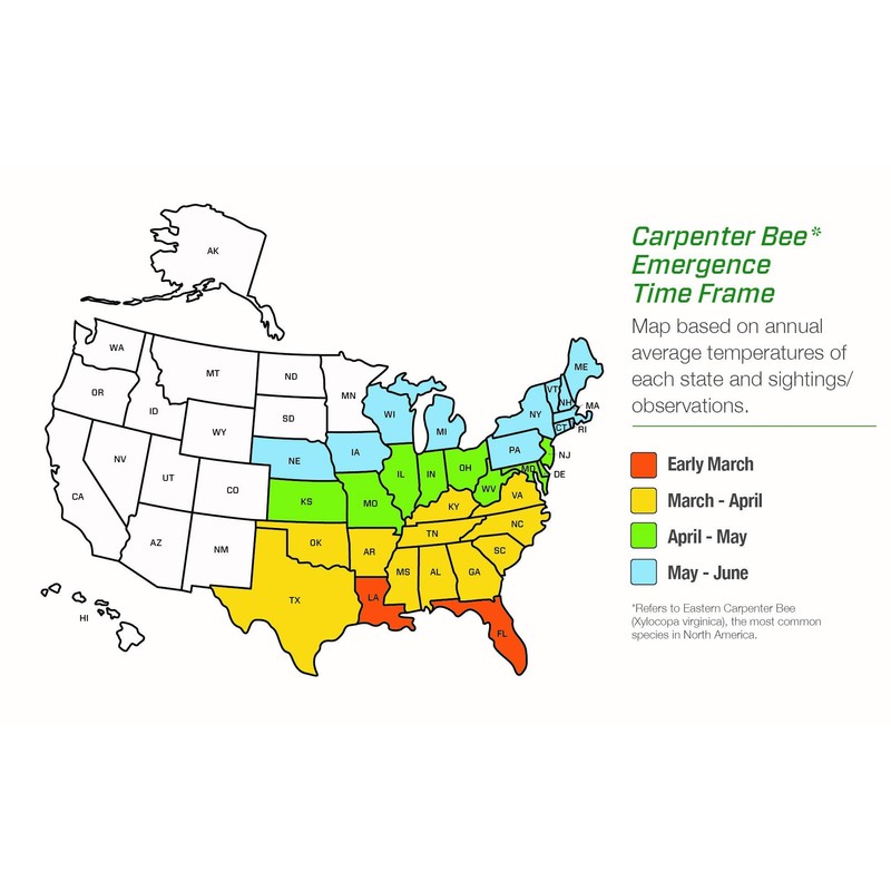 Rescue! Carpenter Bee TrapStik – Also Works on Wasps, Mud