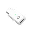 Type C Male to Lightning Headphone Jack Converter, Type-C to