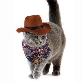 aoozleny Pet Cowboy Hat and Bandana Scarf - Western Cowboy Costume Accessories for Dogs and Cats, Set of 2 (M)