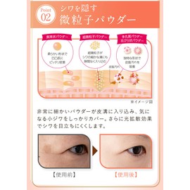 Vernal Silky Rich Foundation Exclusive Case