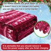 58x43 Inches 12v Heated Car Blanket Plug In, Red White,