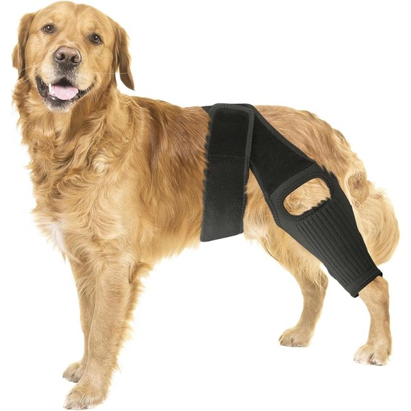 Hind Leg Dog Knee Brace, Cruciate Ligament Care Knee Brace