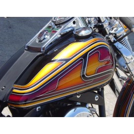 Mid USA HARLEY FAT BOB 1947-1995 GAS TANK DASH INSTRUMENT PANNEL LIGHT HARDWARE KIT