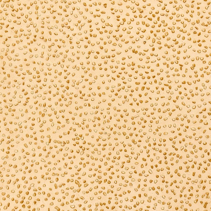 ToolPro Professional Grade Carbide Bit Stucco & EIFS Rasp –