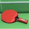 Sure Shot Matthew Syed Outdoor Table Tennis Bat, Red, One