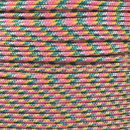 PARACORD PLANET 10, 25, 50, and 100 Foot Hanks of 425 Paracord (3mm) - Made of 100% Nylon for Tactical, Crafting, Survival, General Use, and Much More (Confetti, 100 Feet)
