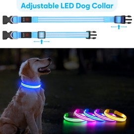 Light Up Dog Collar - BSEEN LED Dog Collar Rechargeable, Double Line Fiber Optic Reflective Dog Collar, Glow in The Dark Dog Collar Light for Night Walking (Blue, Small)