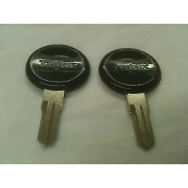 FORD THINK Key Blanks **Lot of 2** Fits Ignition/Keysw