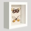 CCDCC 5x5 Small Shadow Box Picture Frame Display Case with