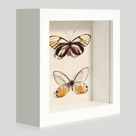 CCDCC 5x5 Small Shadow Box Picture Frame Display Case with Soft Linen Back, White Wooden Memory Shadow Box Frame with Tempered Glass Cover for Wall or Tabletop Display