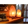 OHLGT Salt Lamp Light Bulbs 15 Watt 6 Pack, Himalayan