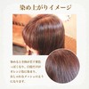 Pure Domestic 100% Natural Ryukyu Misa Henna Gray Hair Dyed