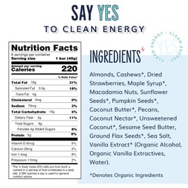 The YES Bar – Strawberry Coconut – Plant Based Protein, Decadent Snack Bar – Vegan, Paleo, Gluten Free, Dairy Free, Low Sugar, Healthy Snack, Breakfast, Low Carb, Keto Friendly (24 Count)
