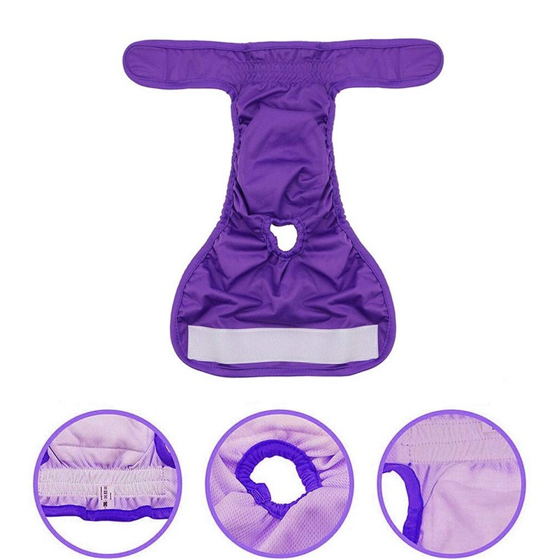 Amaliy Female Dog Nappies Washable Reusable Dog Nappy Pants L