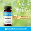 Bioherba Boswellia 100 Capsules 400mg