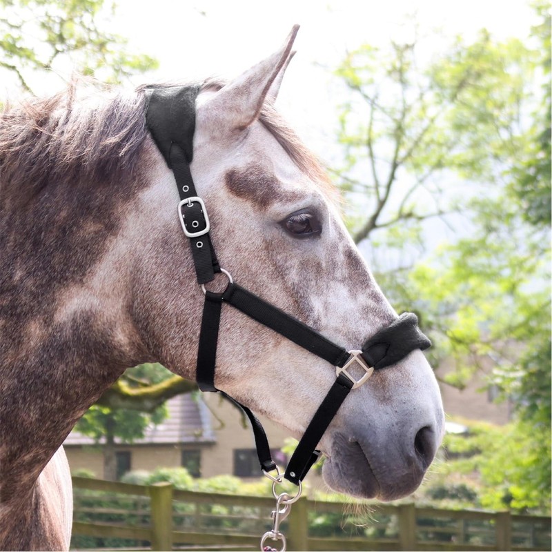 John Whitaker Unisex Club Headcollar and Lead Rope Set Black